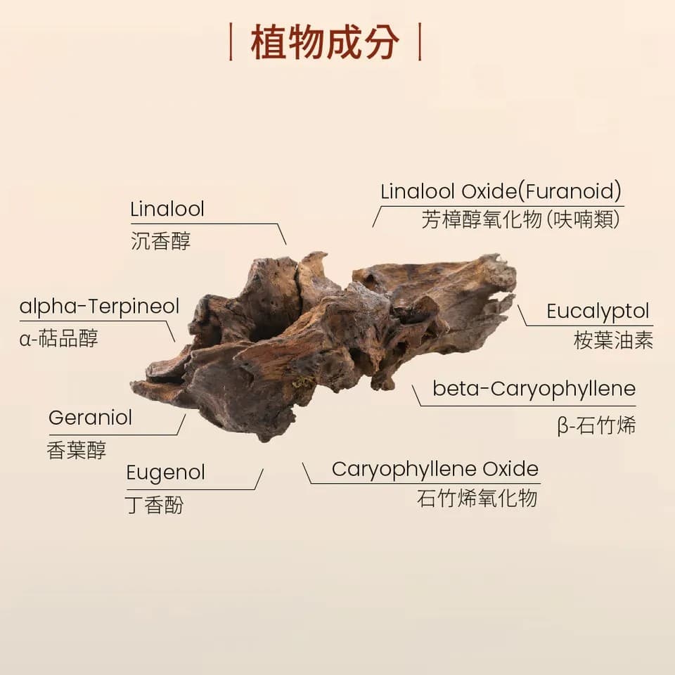 【澳維花園Aus Garden】花梨木精油16ml 縮圖 5