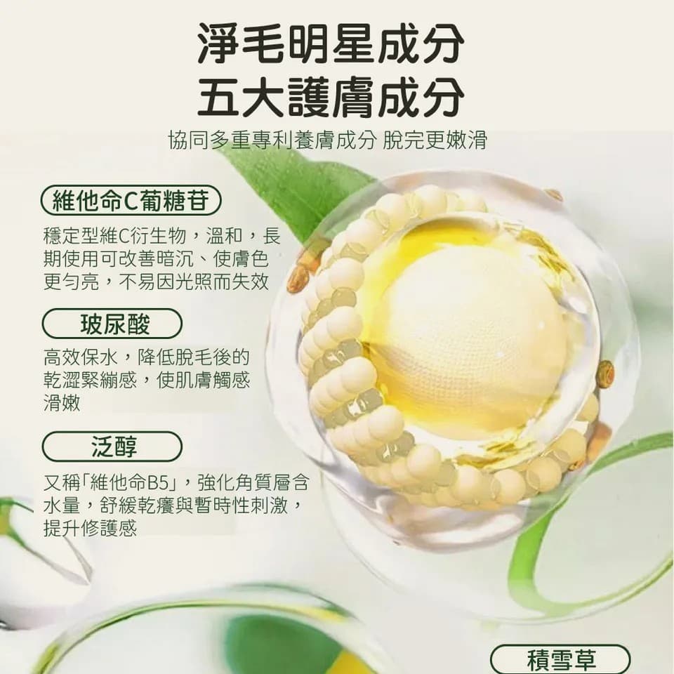 【澳思萊AUS LIFE】積雪草私敏淨毛霜250g 縮圖 8