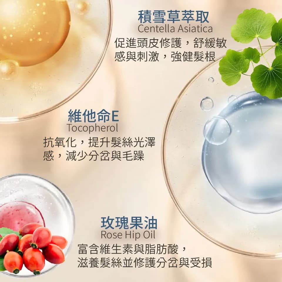 【BEAUTY CROWN】黃金玫瑰B5洗髮精 500ml 縮圖 6