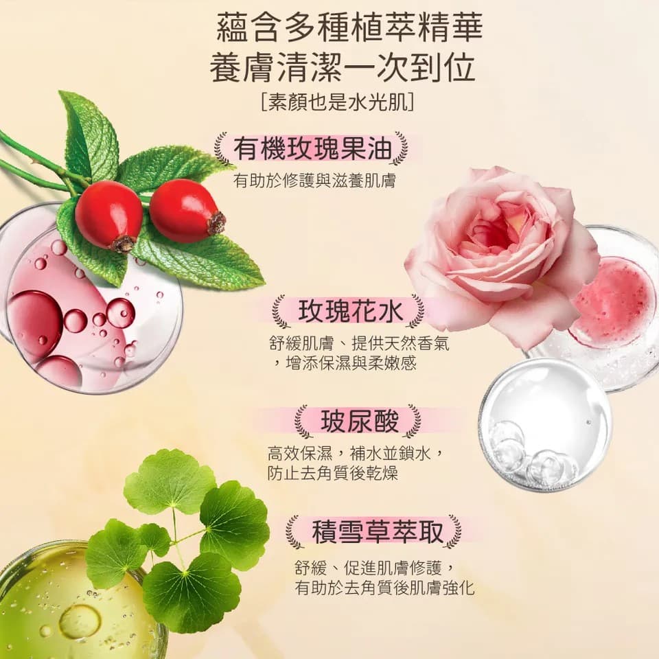 【澳思萊AUS LIFE】玫瑰果拋光去角質凝膠 260ml 縮圖 7