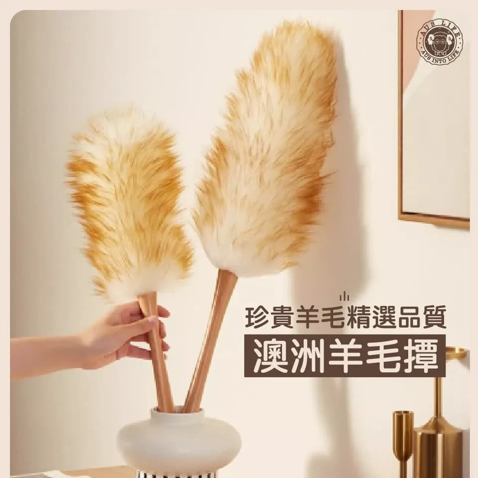 【澳思萊AUS LIFE】澳洲羊毛撢子（小）A35 縮圖 8