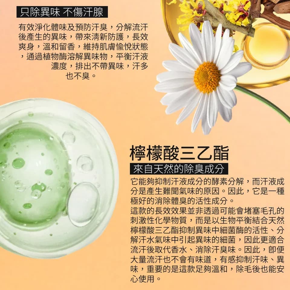 【澳思萊AUS LIFE】橙山茶體香劑 60ml 縮圖 8