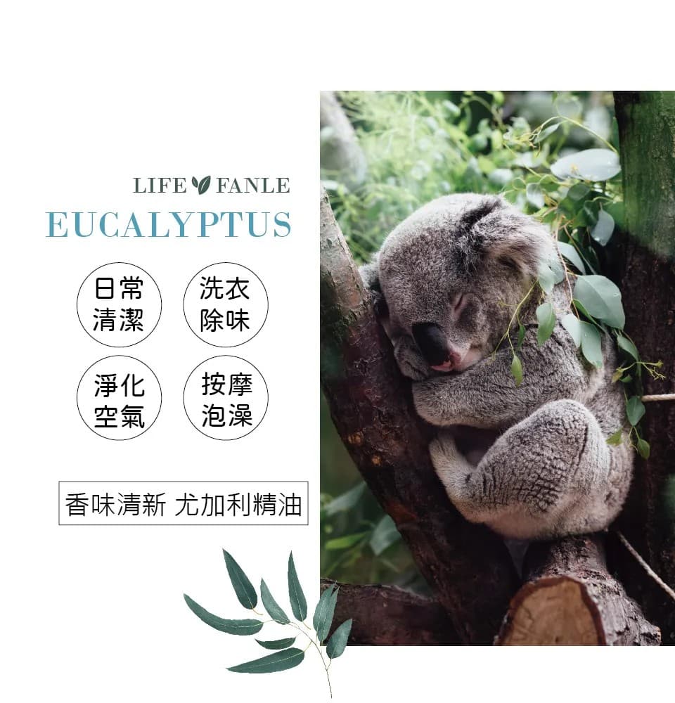 【LIFE FANLE】水溶性澳洲尤加利精油 200ml 縮圖 6