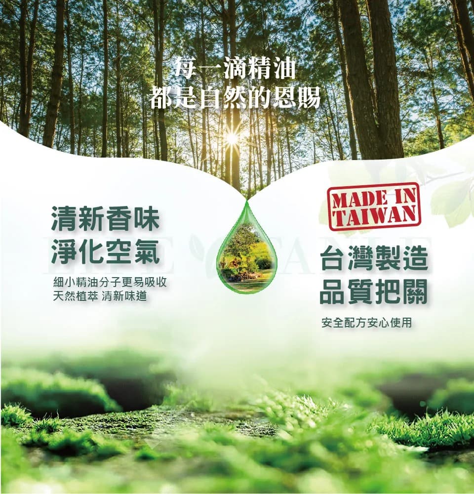 【LIFE FANLE】水溶性澳洲尤加利精油 200ml 縮圖 7