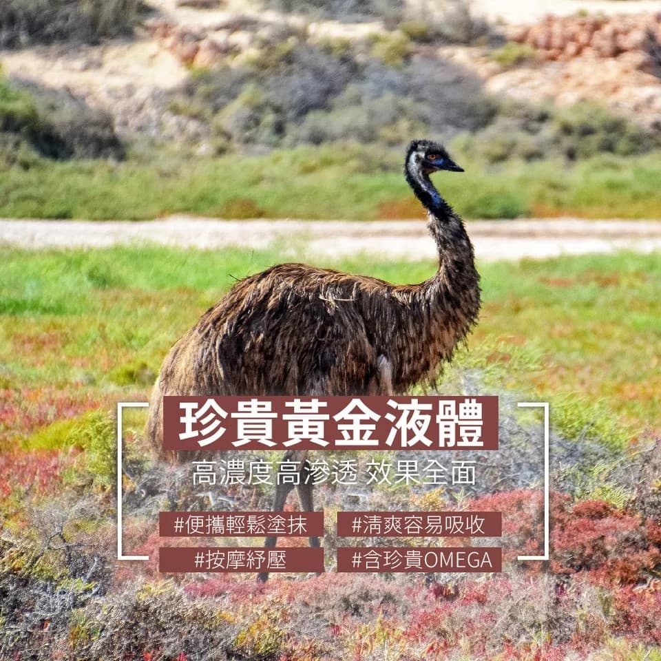 【AUSSHOW】鴯鶓菁華油 30ml 縮圖 10