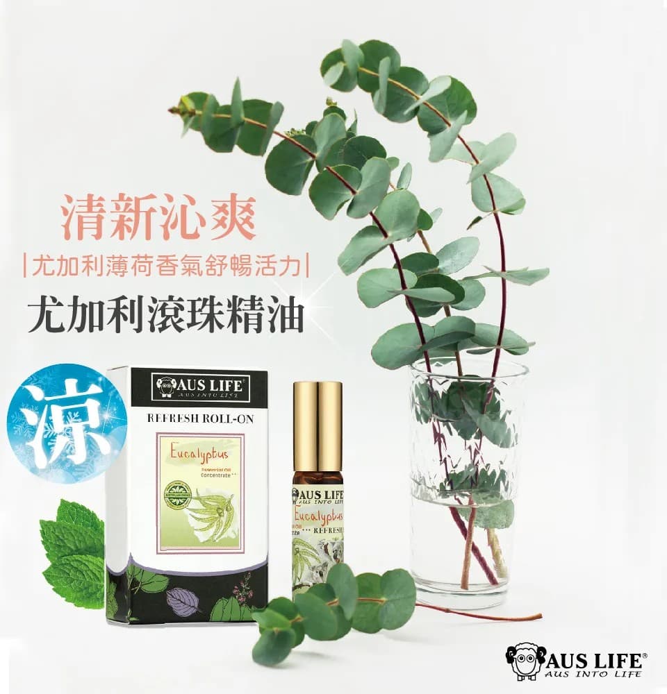 【澳思萊AUS LIFE】尤加利滾珠精油 5.3ml 縮圖 3