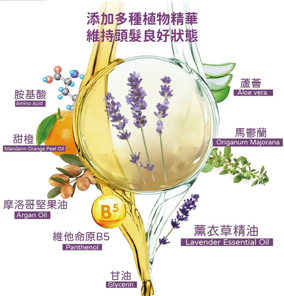 【澳思萊AUS LIFE】薰衣草活絡健康洗髮精 500ml 縮圖 5