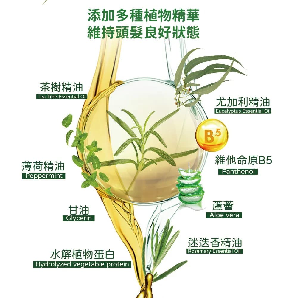 【澳思萊AUS LIFE】茶樹調理活化洗髮精露 500ml 縮圖 5