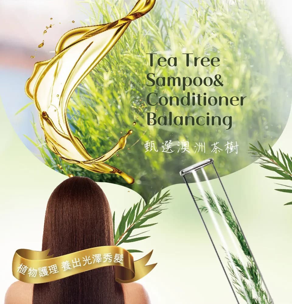【澳思萊AUS LIFE】茶樹調理活化洗髮精露 500ml 縮圖 6