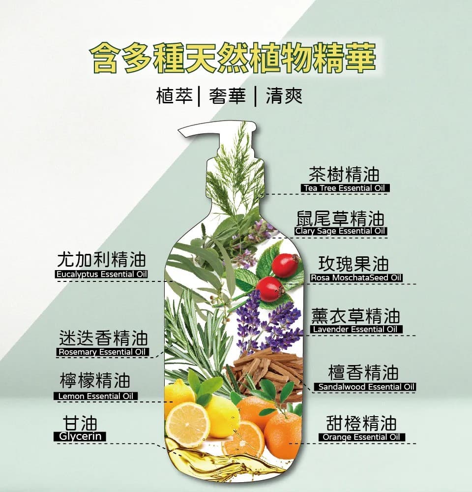 【澳思萊AUS LIFE】茶樹調理控油沐浴精露 500ml 縮圖 5