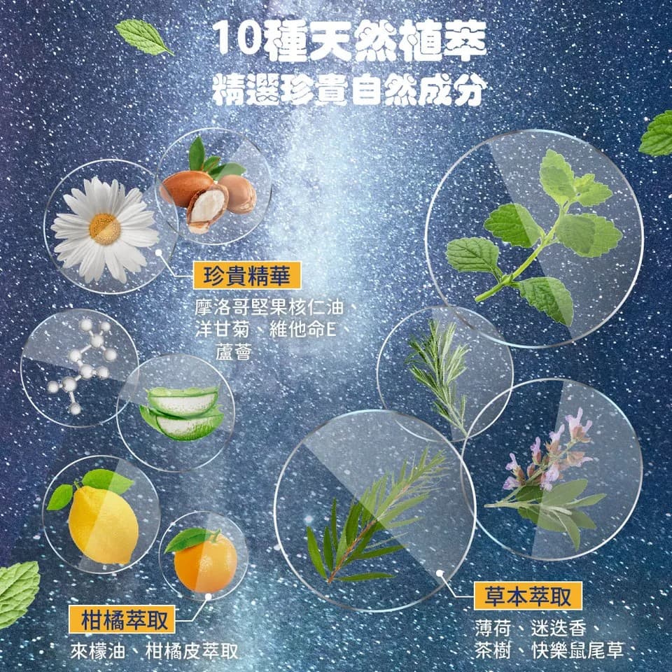 【澳思萊AUS LIFE】咖啡因薄荷舒涼洗髮精 550ml 縮圖 5