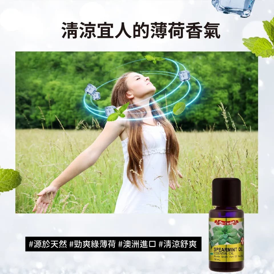 【澳維花園Aus Garden】綠薄荷精油 16ml 縮圖 4