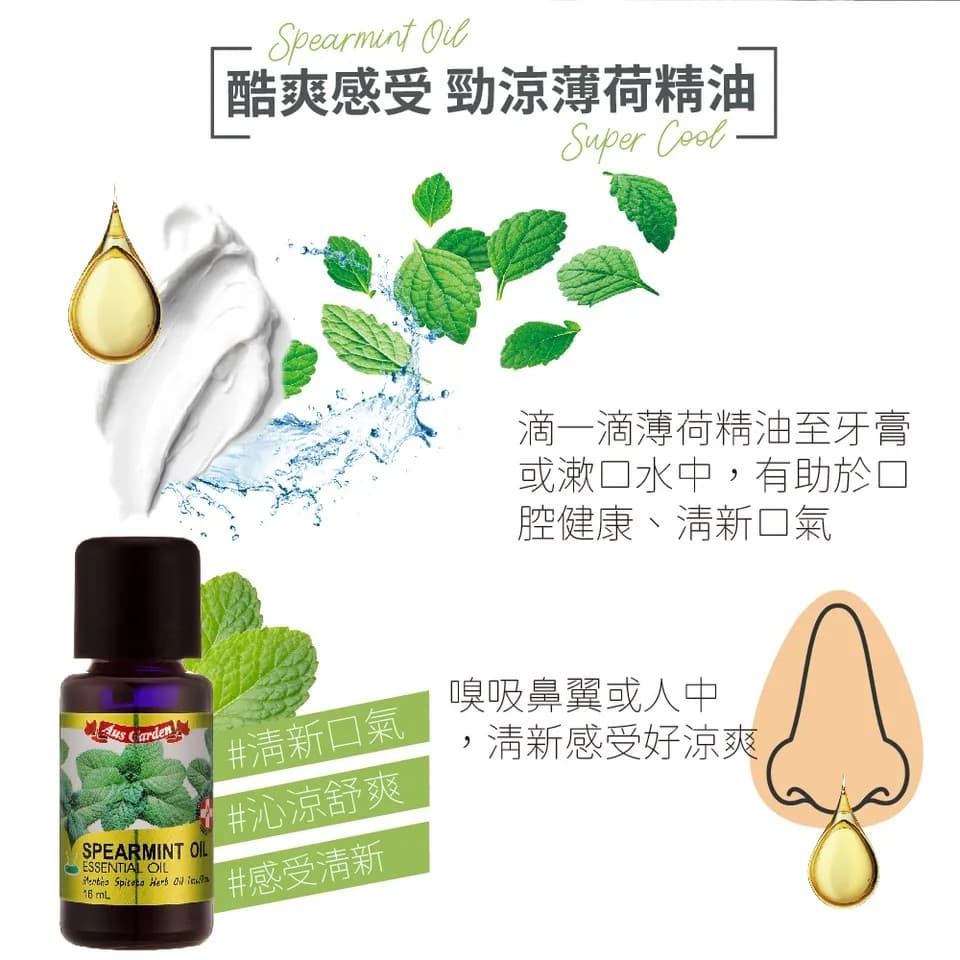 【澳維花園Aus Garden】綠薄荷精油 16ml 縮圖 8