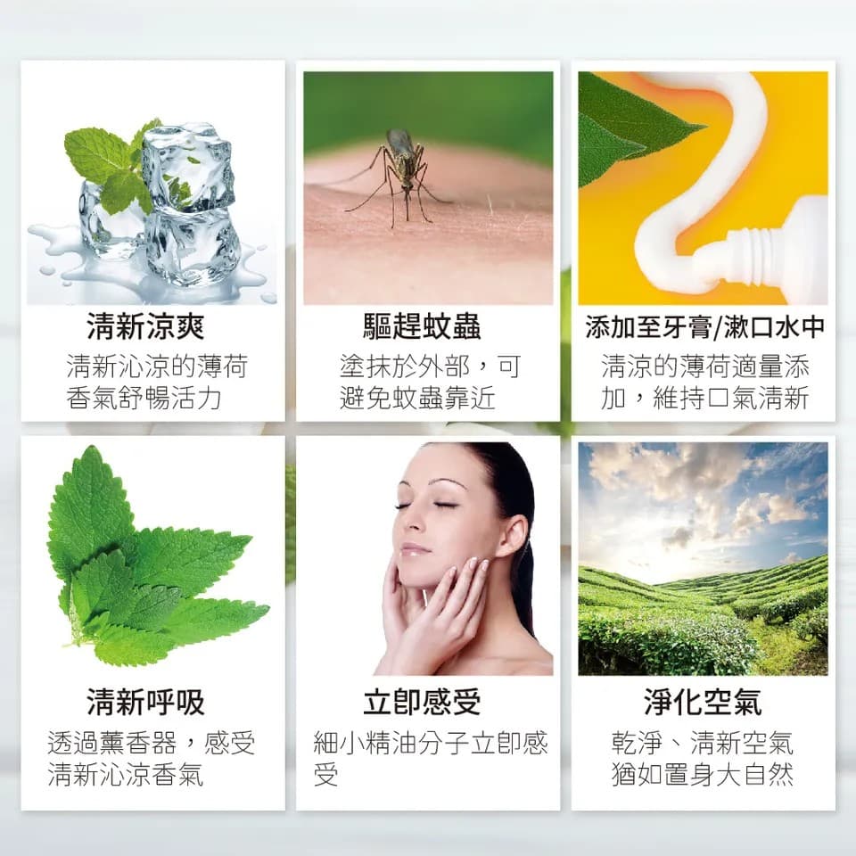 【澳維花園Aus Garden】綠薄荷精油 16ml 縮圖 6