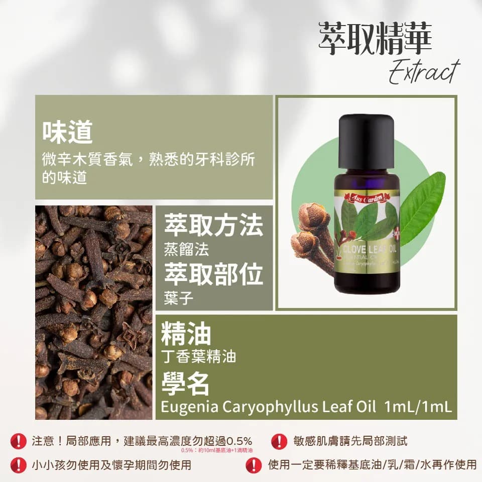 【澳維花園Aus Garden】丁香葉精油 16ml 縮圖 6