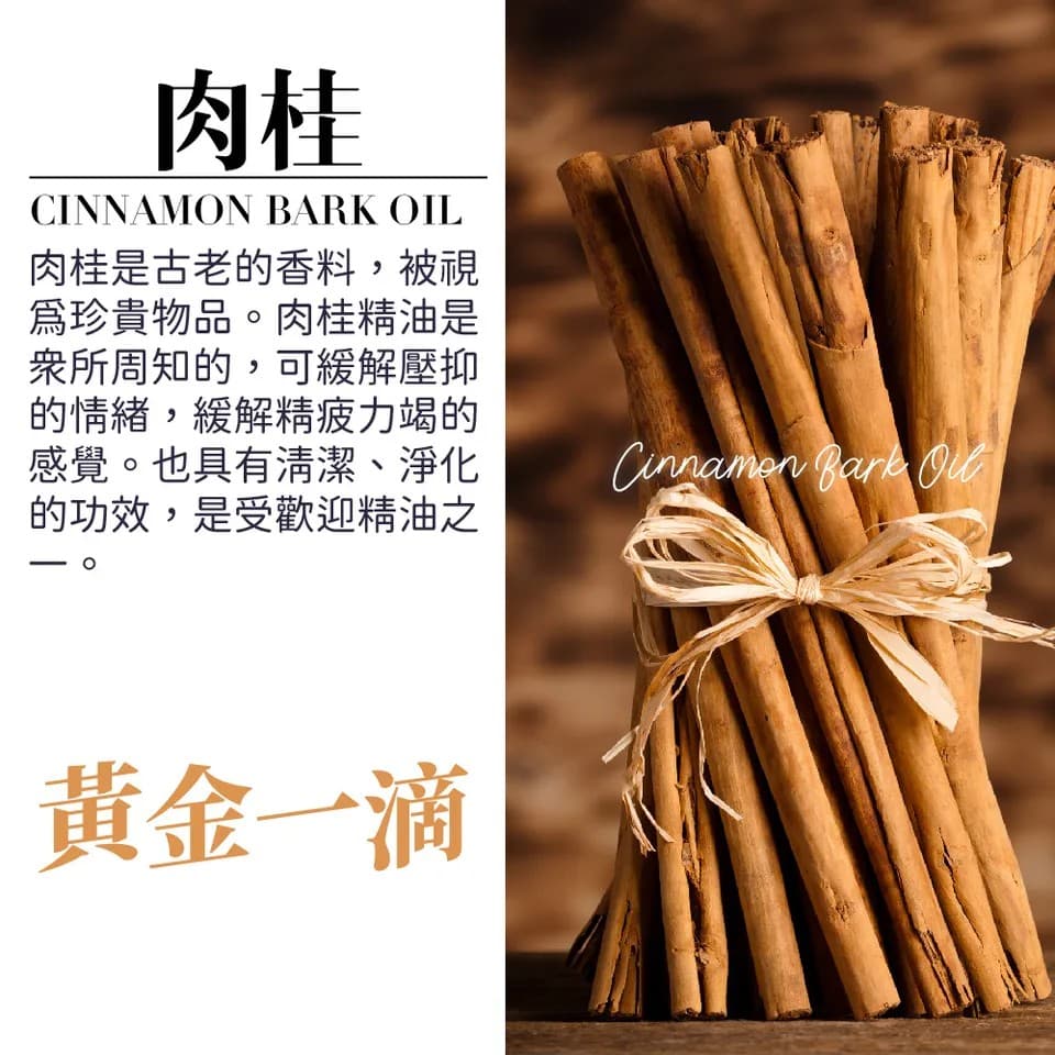 【澳維花園Aus Garden】肉桂精油 16ml 縮圖 6