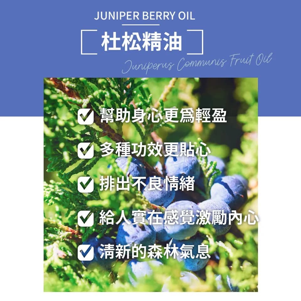 【澳維花園Aus Garden】杜松漿果精油 16ml 縮圖 6