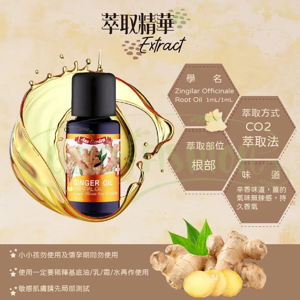 【澳維花園Aus Garden】薑精油 16ml 縮圖 6