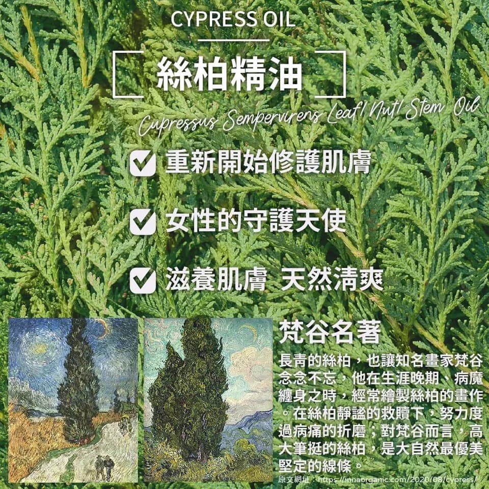 【澳維花園Aus Garden】絲柏精油 16ml 縮圖 6