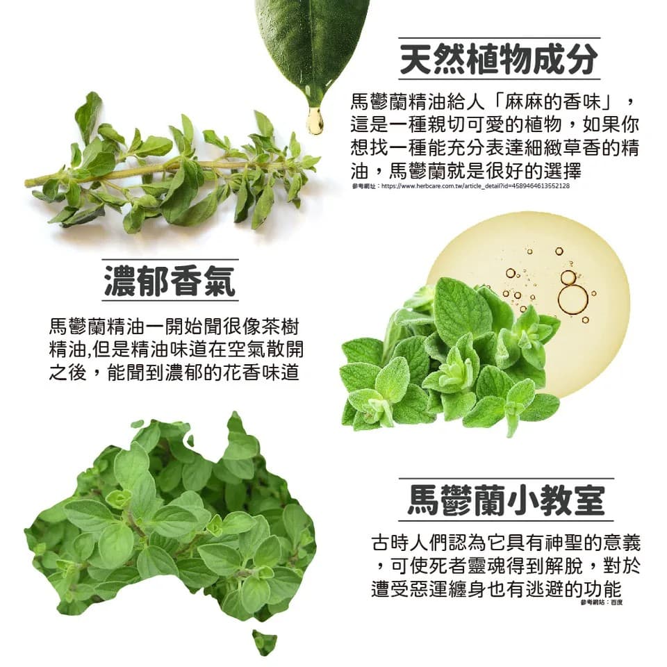 【澳維花園Aus Garden】馬鬱蘭精油 16ml 縮圖 7