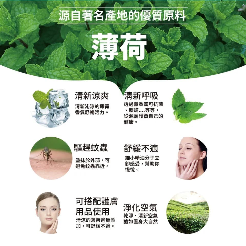 【澳維花園Aus Garden】薄荷精油30ml 縮圖 6