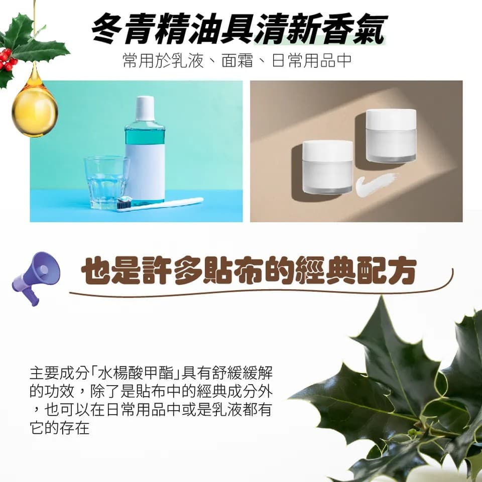 【澳維花園Aus Garden】冬青精油35g 縮圖 5