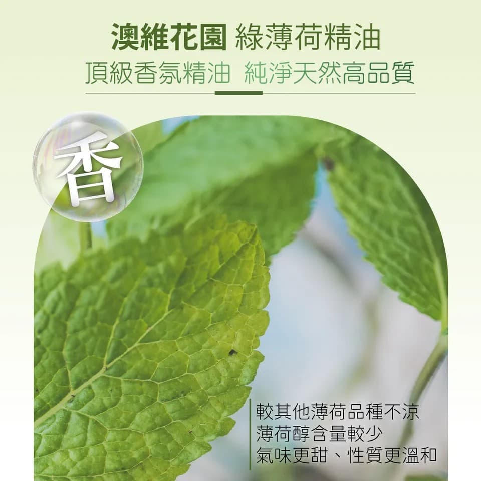 【澳維花園Aus Garden】綠薄荷精油100ml 縮圖 6