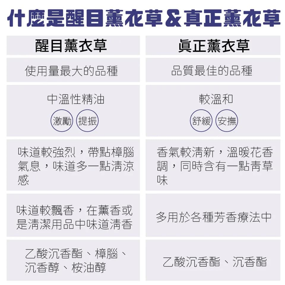 【澳維花園Aus Garden】醒目薰衣草精油100ml 縮圖 6