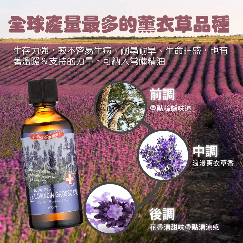 【澳維花園Aus Garden】醒目薰衣草精油100ml 縮圖 7