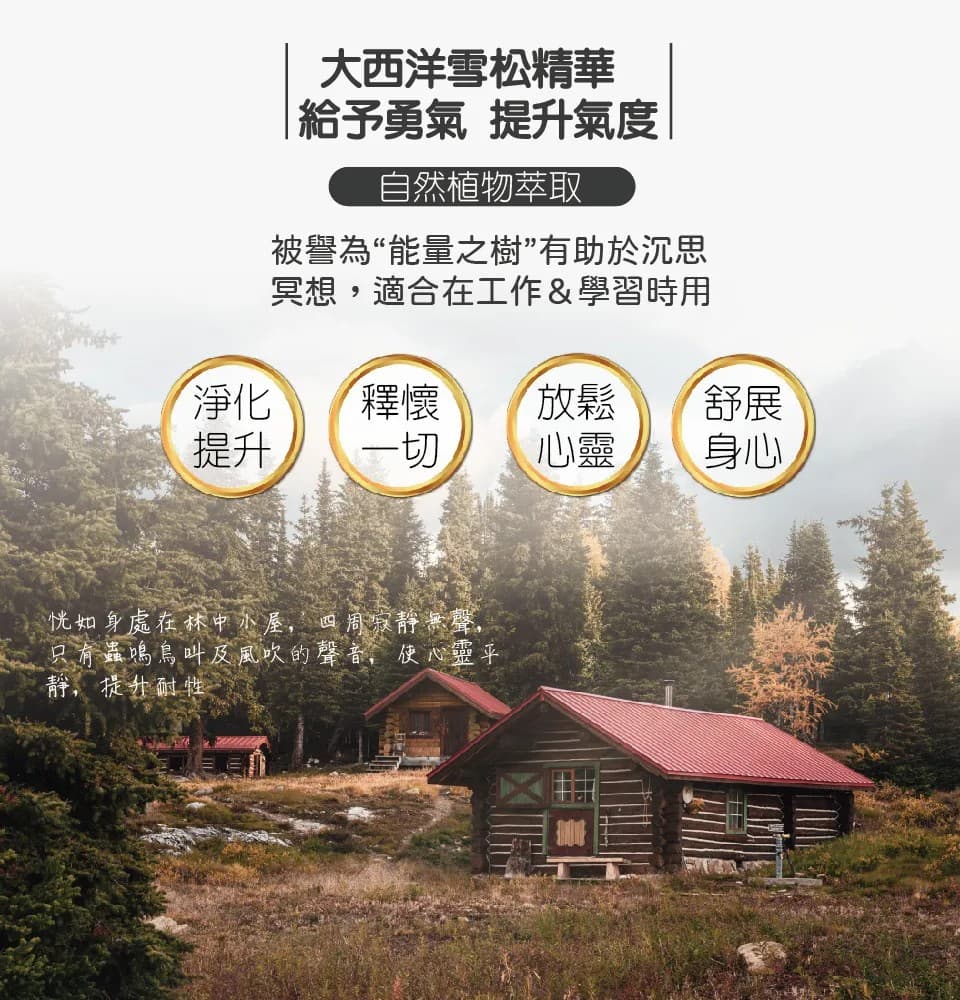 【澳維花園Aus Garden】大西洋雪松精油50ml 縮圖 4