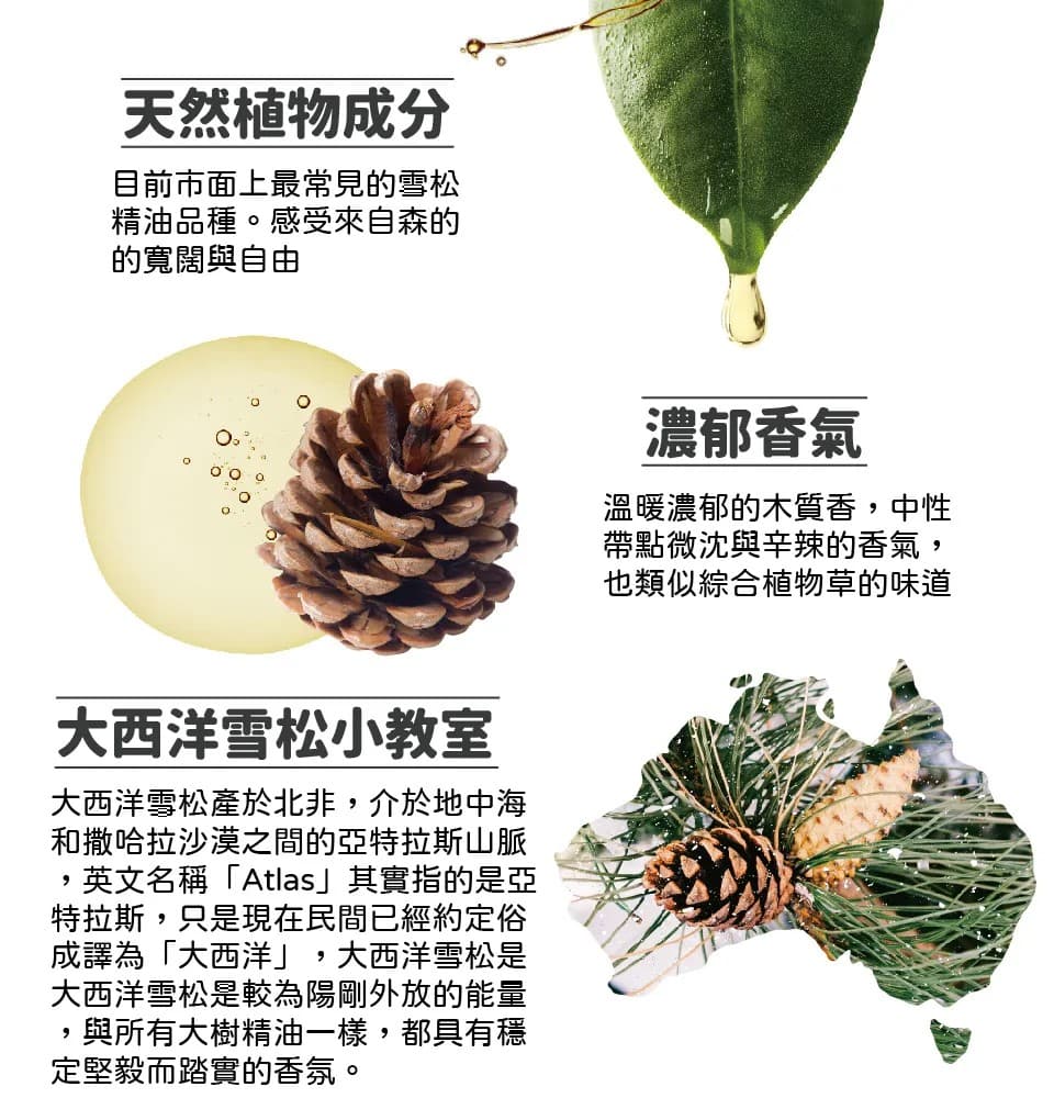 【澳維花園Aus Garden】大西洋雪松精油50ml 縮圖 6