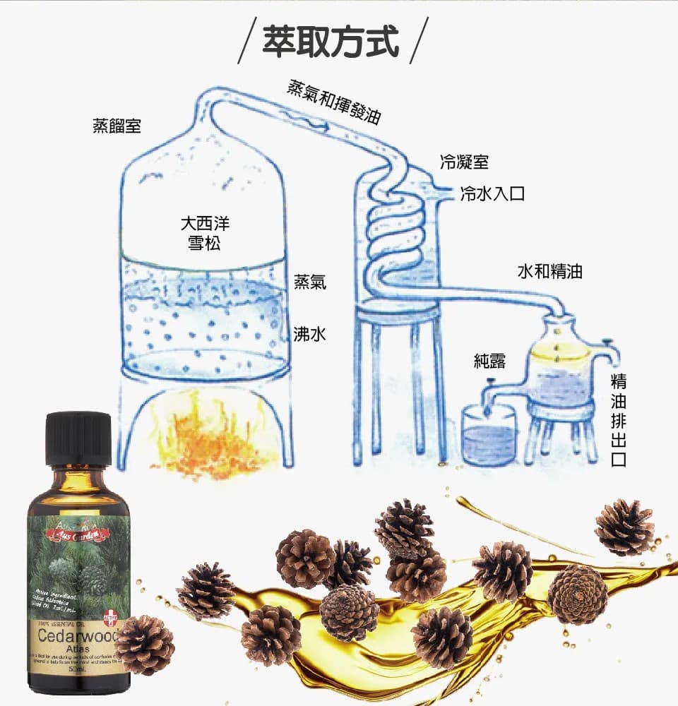 【澳維花園Aus Garden】大西洋雪松精油50ml 縮圖 5