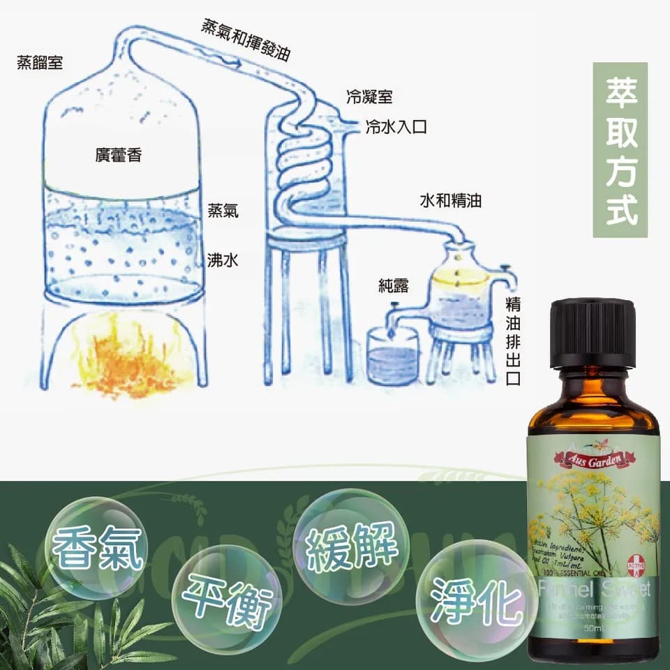 【澳維花園Aus Garden】甜茴香精油50ml 縮圖 6