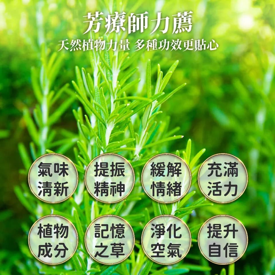 【澳維花園Aus Garden】迷迭香精油50ml 縮圖 6