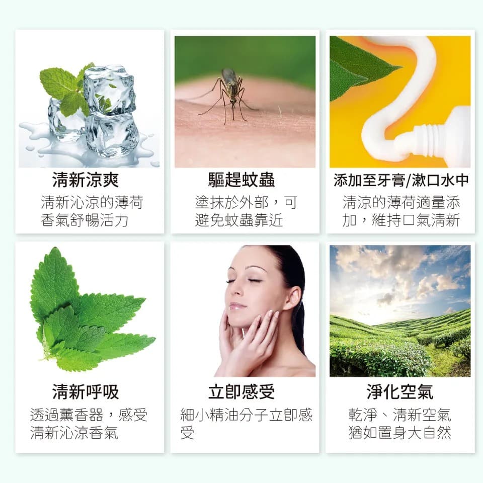 【澳維花園Aus Garden】至尊薄荷精油50ml 縮圖 5