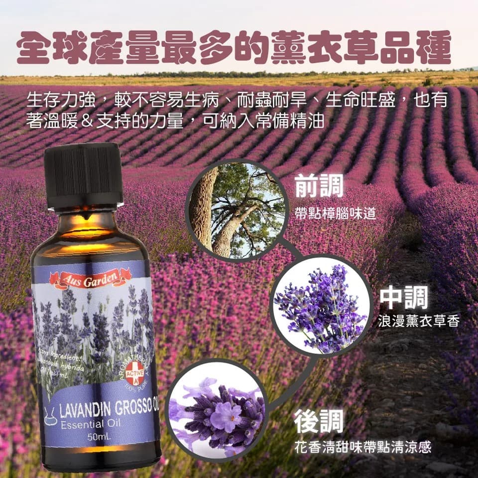 【澳維花園Aus Garden】醒目薰衣草精油50ml 縮圖 6