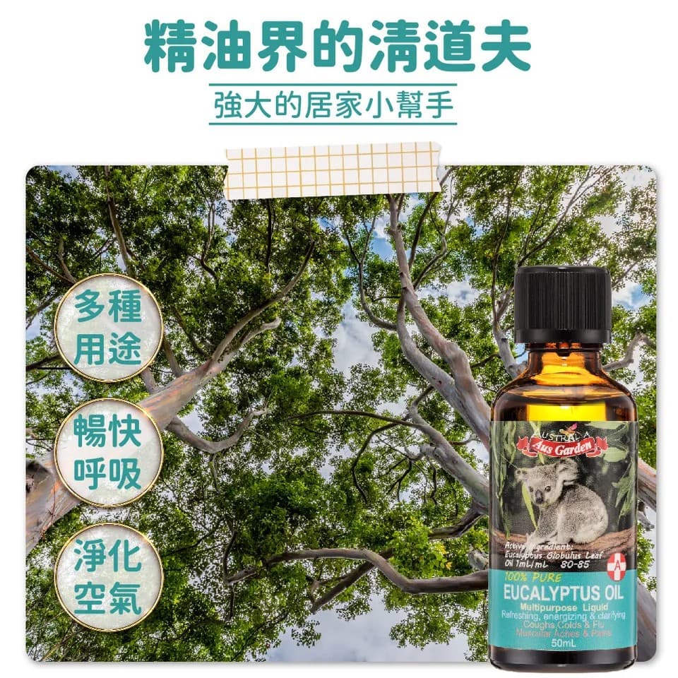 【澳維花園Aus Garden】頂級藍膠尤加利精油50ml 縮圖 3