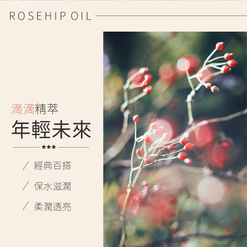 【澳維花園Aus Garden】玫瑰果緊實按摩精油 155ml 縮圖 5