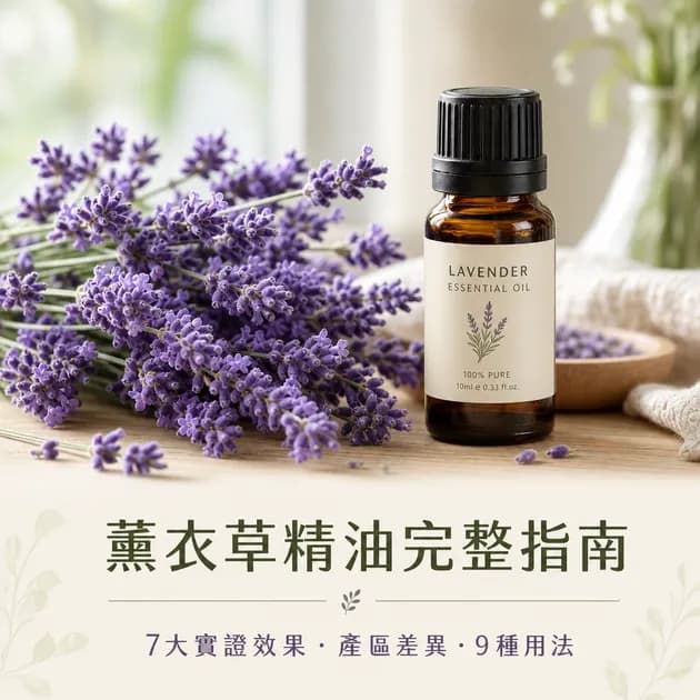 薰衣草精油功效完整指南｜7 大實證效果、產區差異、9 種正確用法｜精油百科｜澳思萊芳療筆記封面