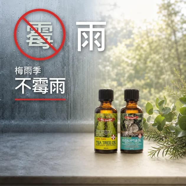 🌧️ 梅雨季防霉全攻略｜大雨淹水消毒、去霉味密技，芳療師教你 4 款精油打造乾爽日常！｜芳療生活儀式｜澳思萊芳療筆記封面