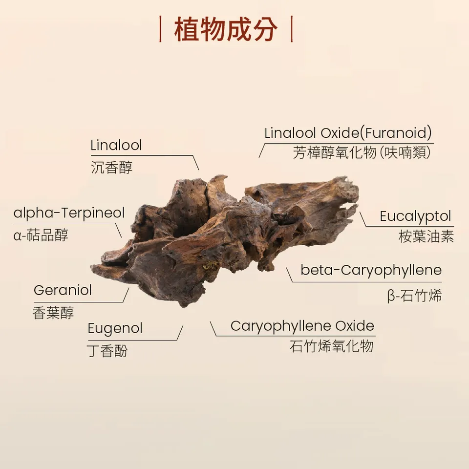 【澳維花園Aus Garden】花梨木精油16ml 圖 6