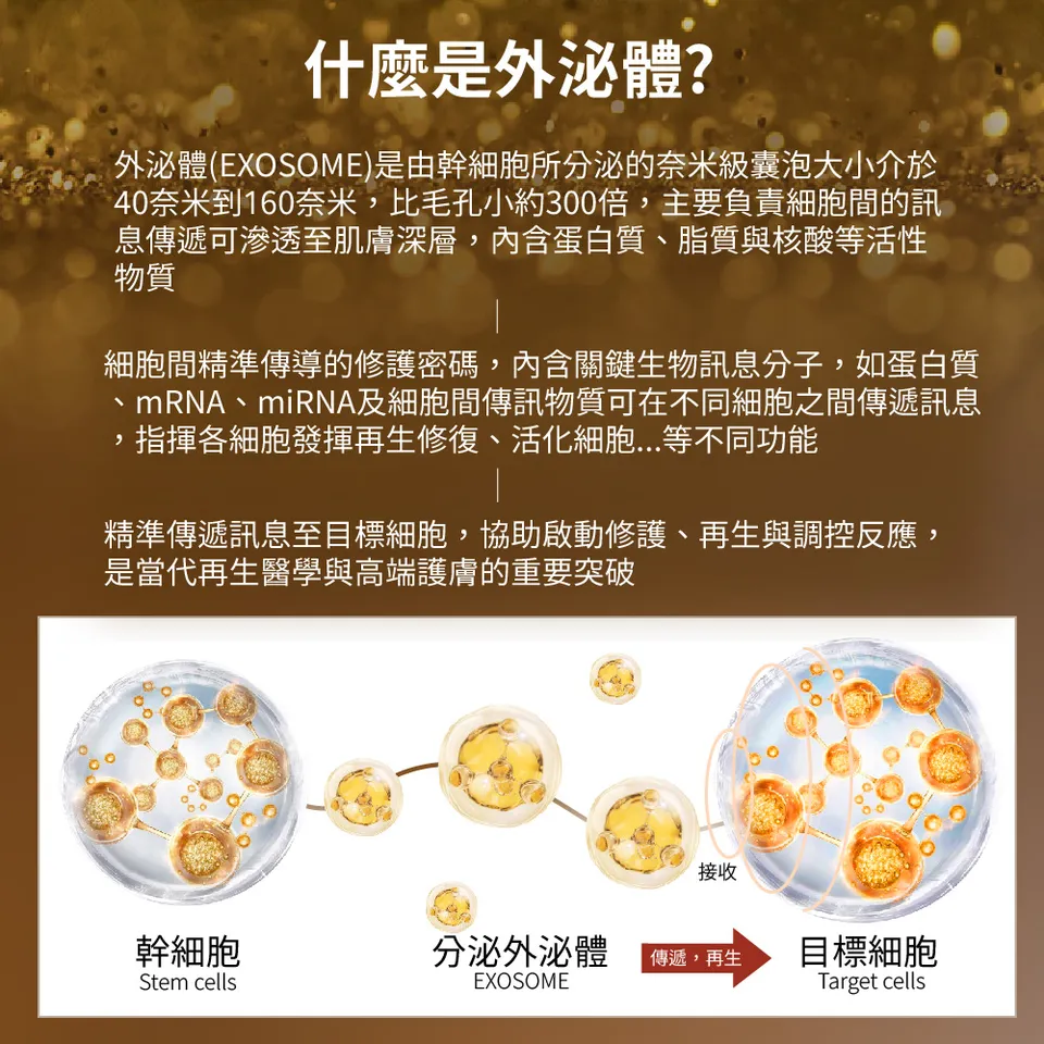 【BEAUTY CROWN】玫瑰外泌體無敵原精 50ml 圖 6