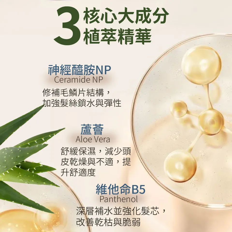 【BEAUTY CROWN】黃金玫瑰B5洗髮精 500ml 圖 6