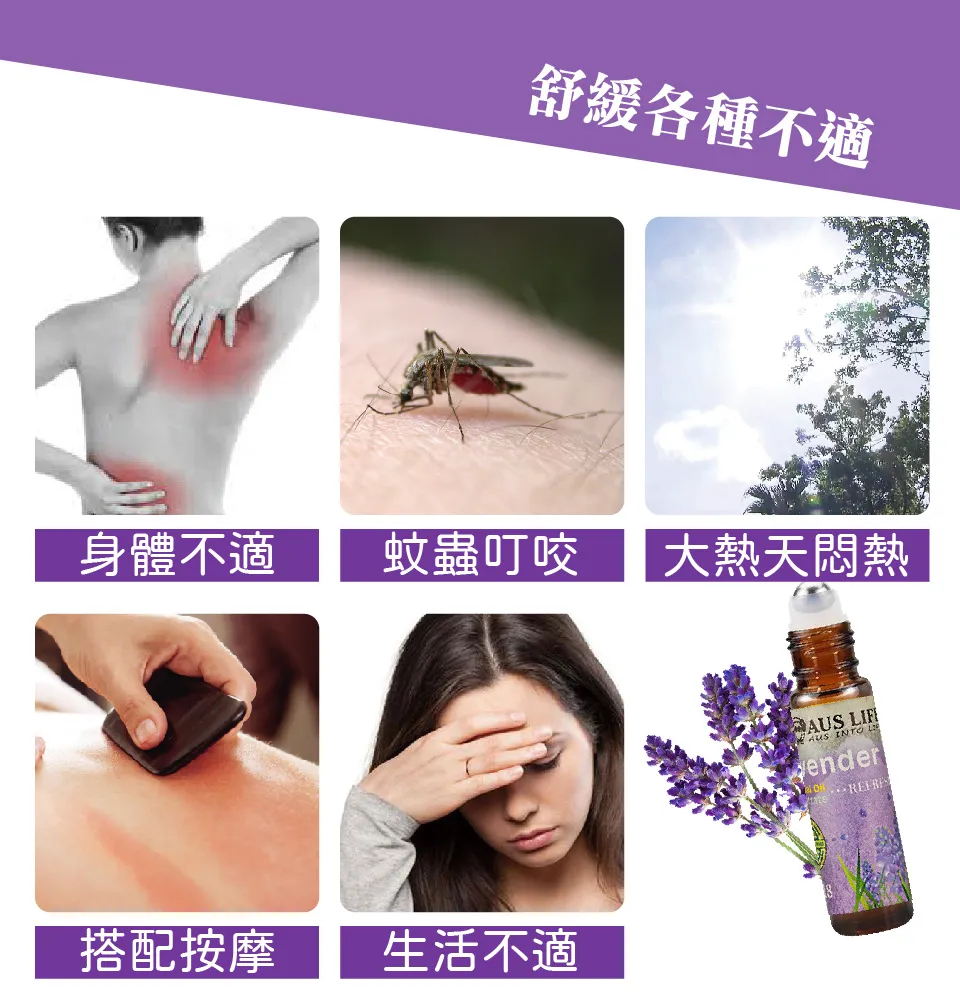 【澳思萊AUS LIFE】薰衣草滾珠舒緩霜 3入組 圖 13