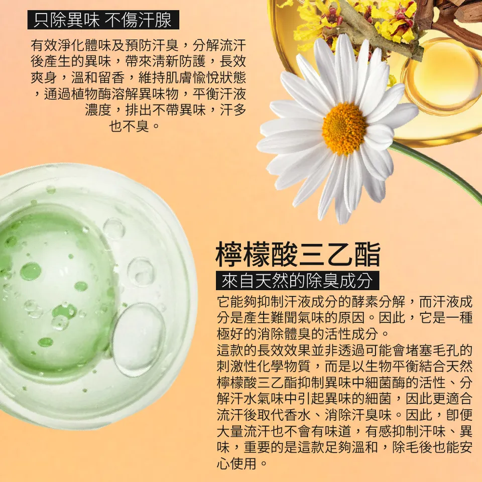 【澳思萊AUS LIFE】橙山茶體香劑 60ml 圖 9