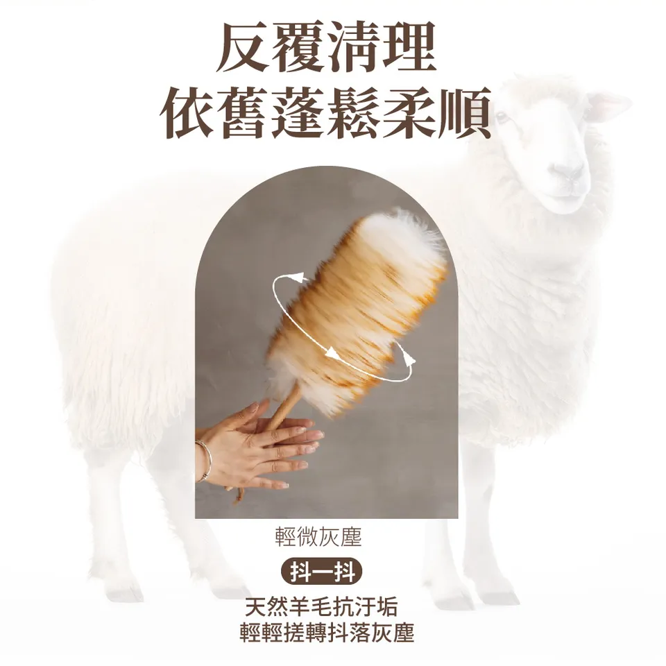 【澳思萊AUS LIFE】澳洲羊毛撢（大）A58 圖 10