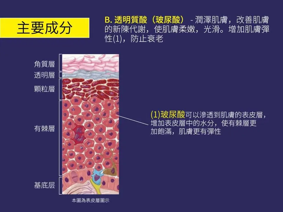 【e伊蓓爾】瞬效超能美白抗老粉態安瓶 30入 圖 10
