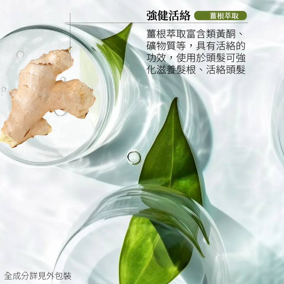 【MAPOROO】頭皮護理澎彈洗髮乳 550ml 圖 9