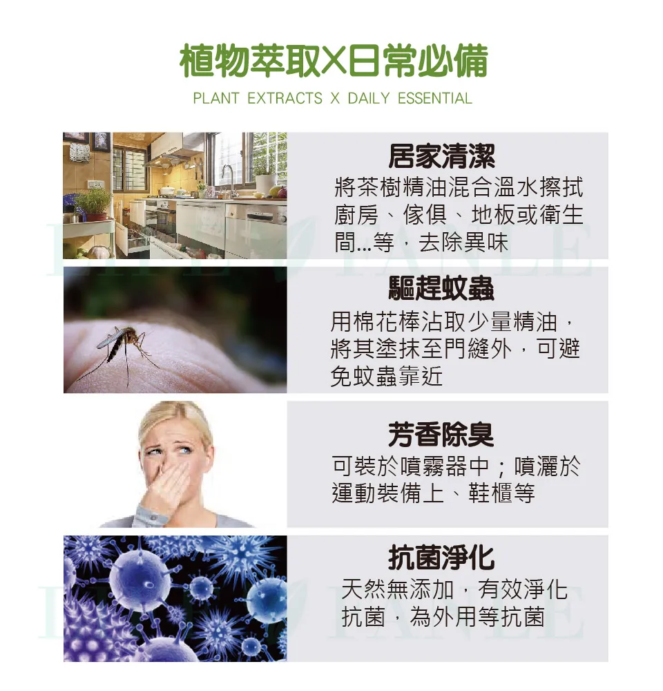 【LIFE FANLE】水溶性澳洲茶樹精油 200ml 圖 6