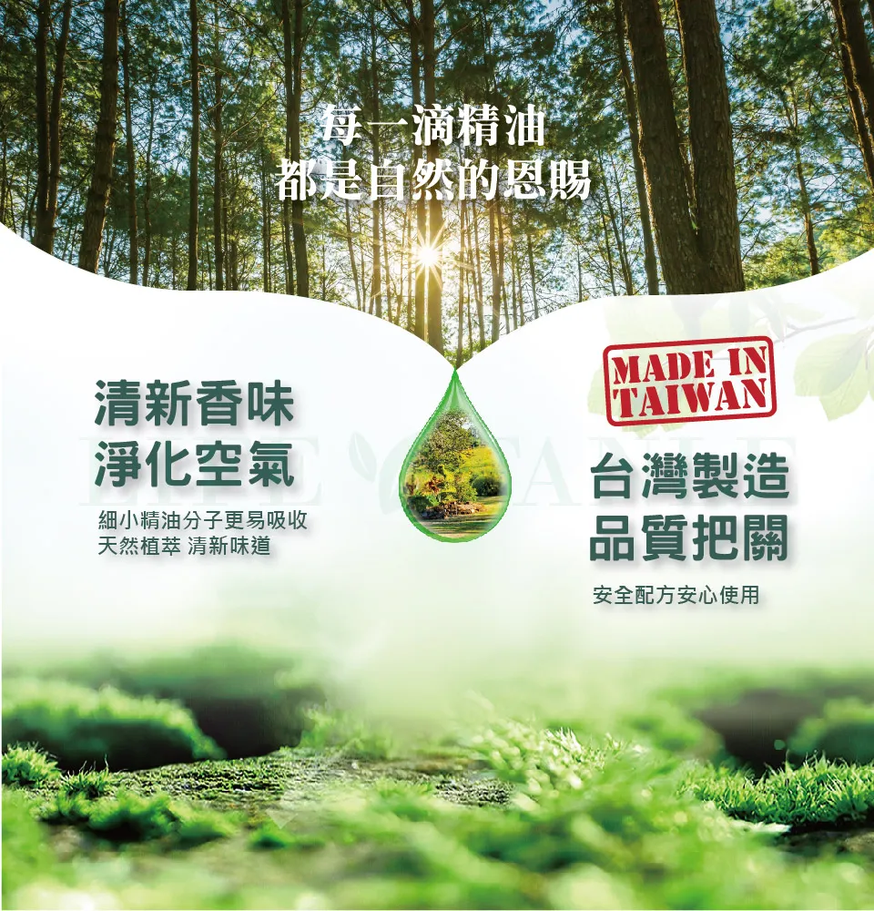 【LIFE FANLE】水溶性澳洲尤加利精油 200ml 圖 8